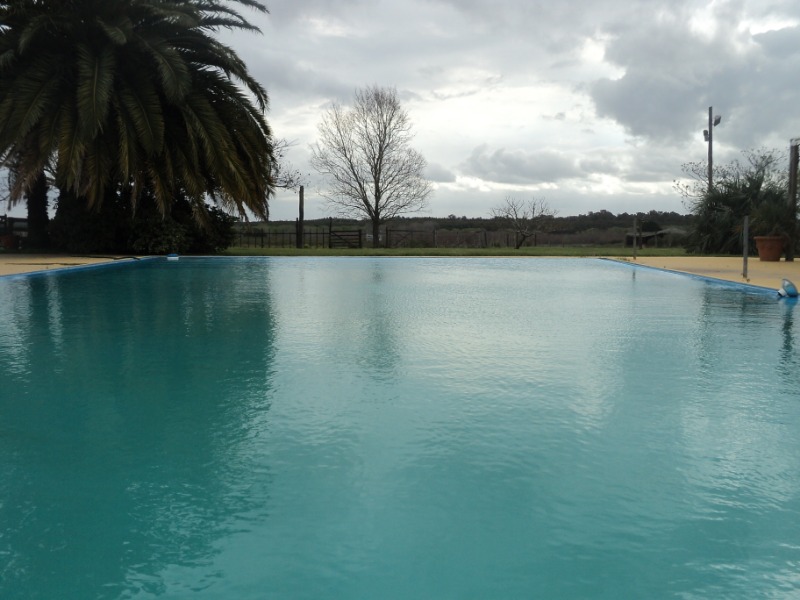 descripcion de imagen