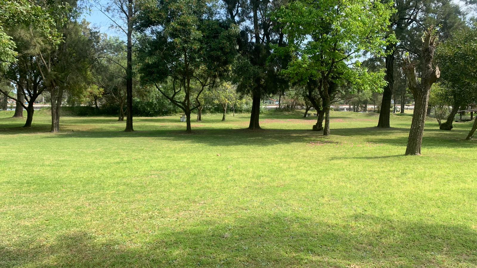 descripcion de imagen