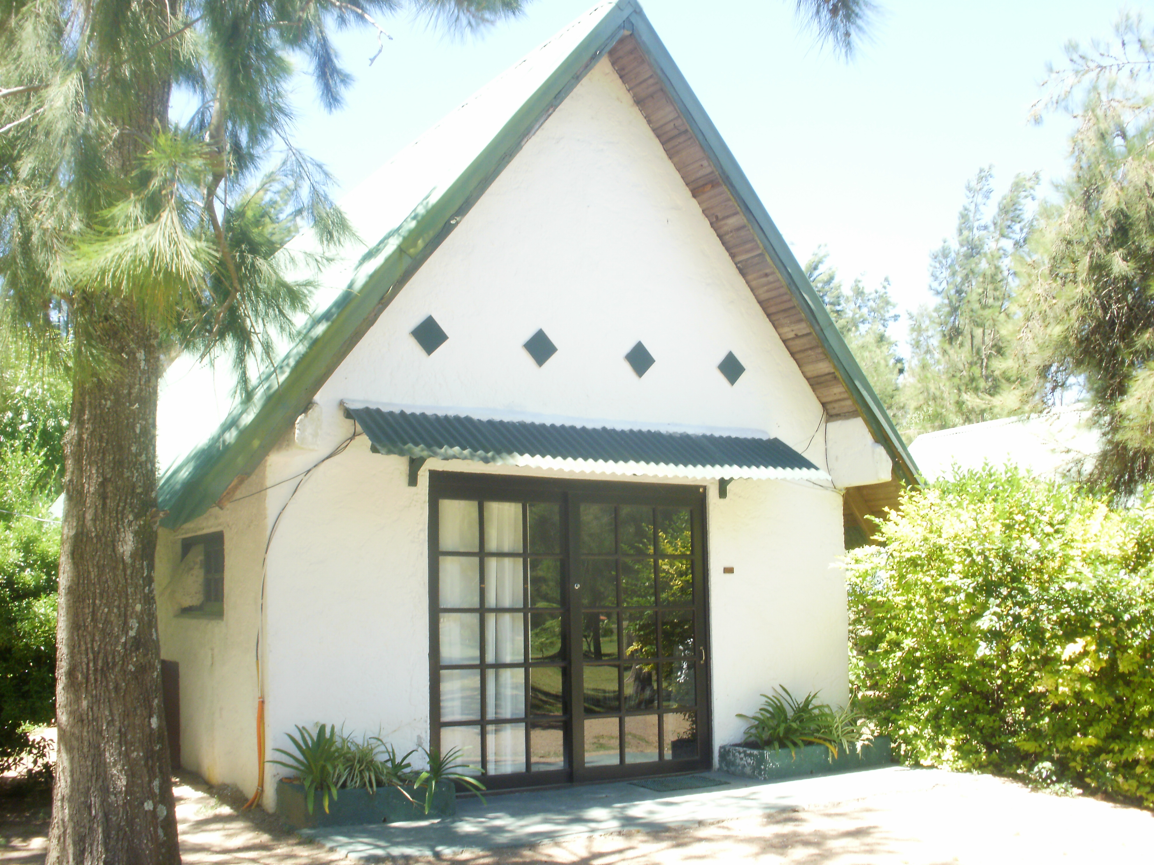 descripcion de imagen