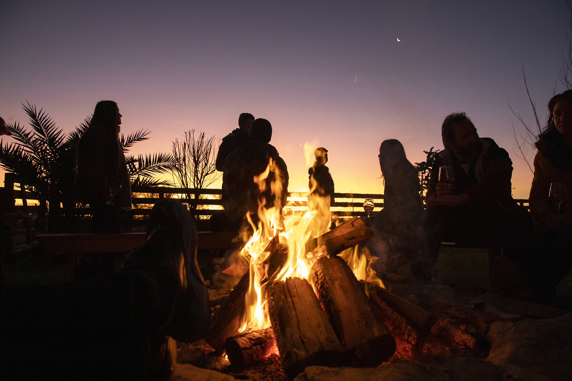 descripcion de imagen