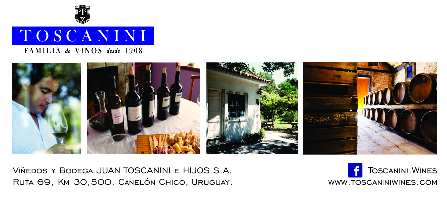 descripcion de imagen