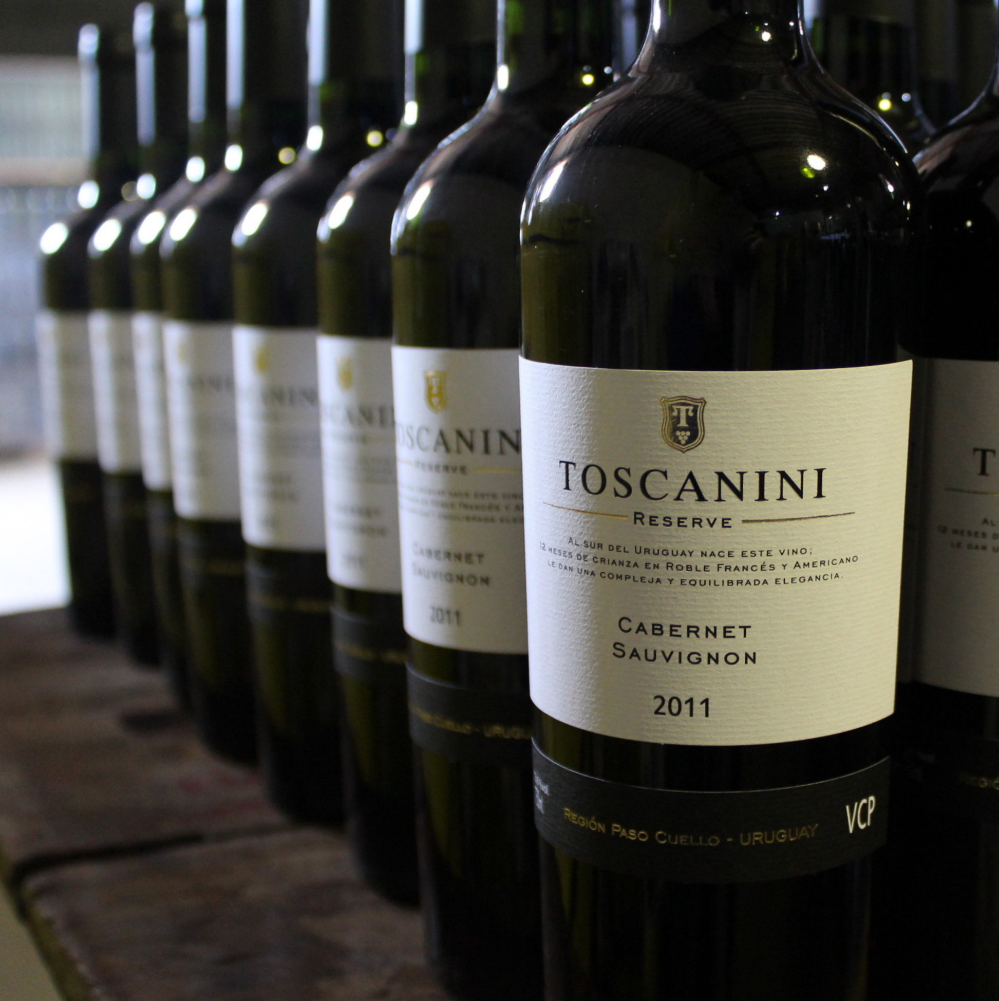 descripcion de imagen