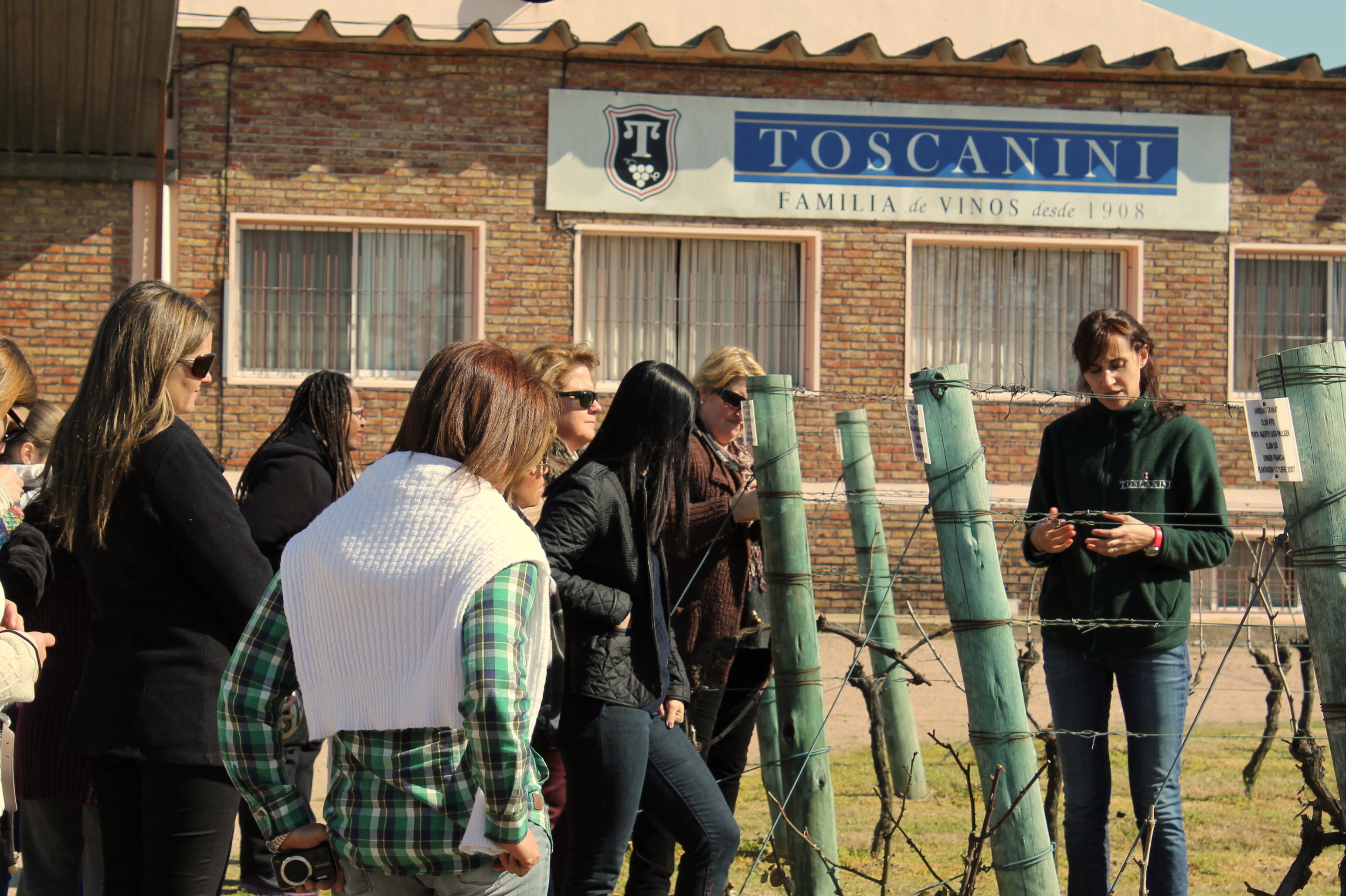 descripcion de imagen