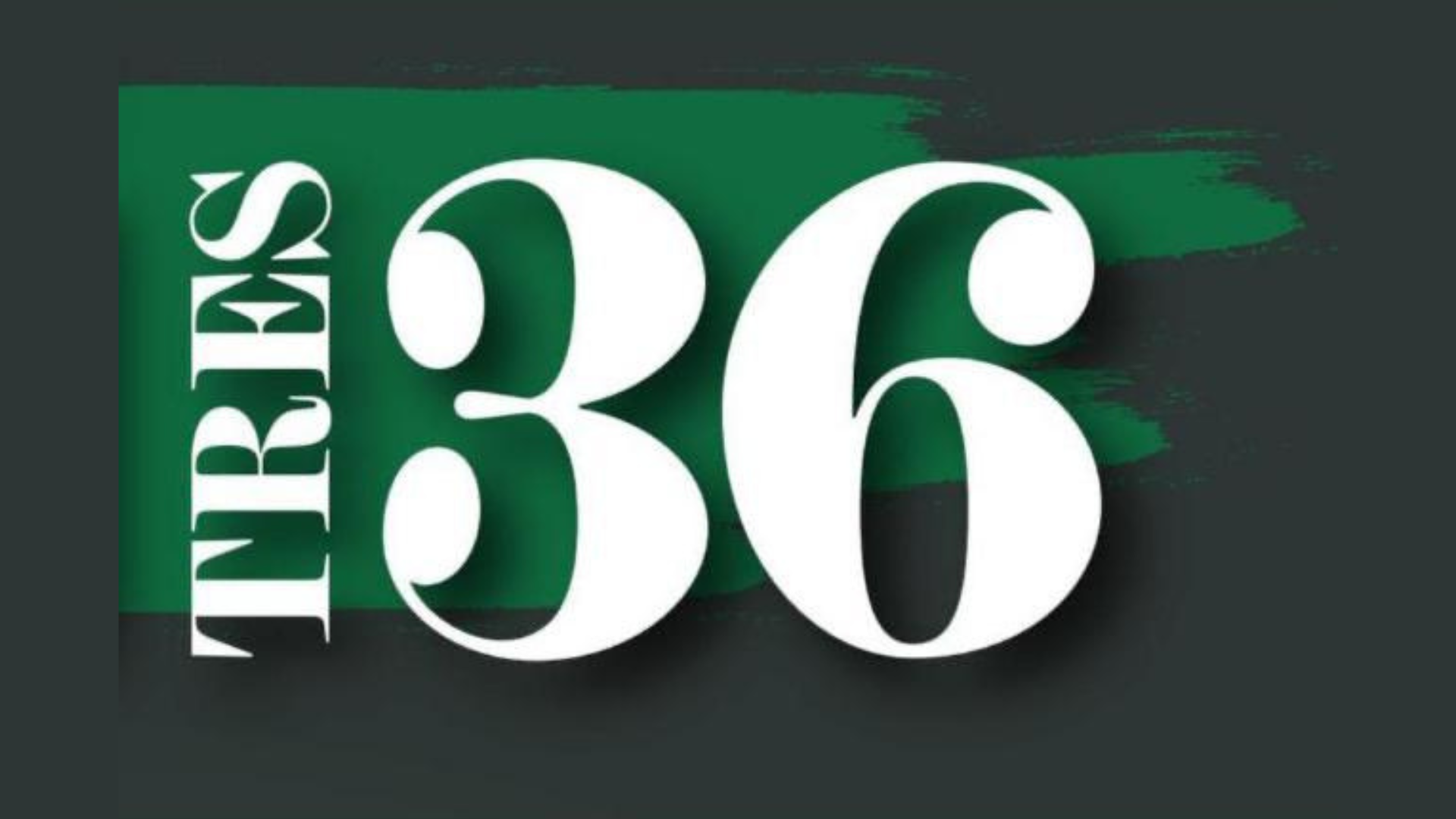 descripcion de imagen