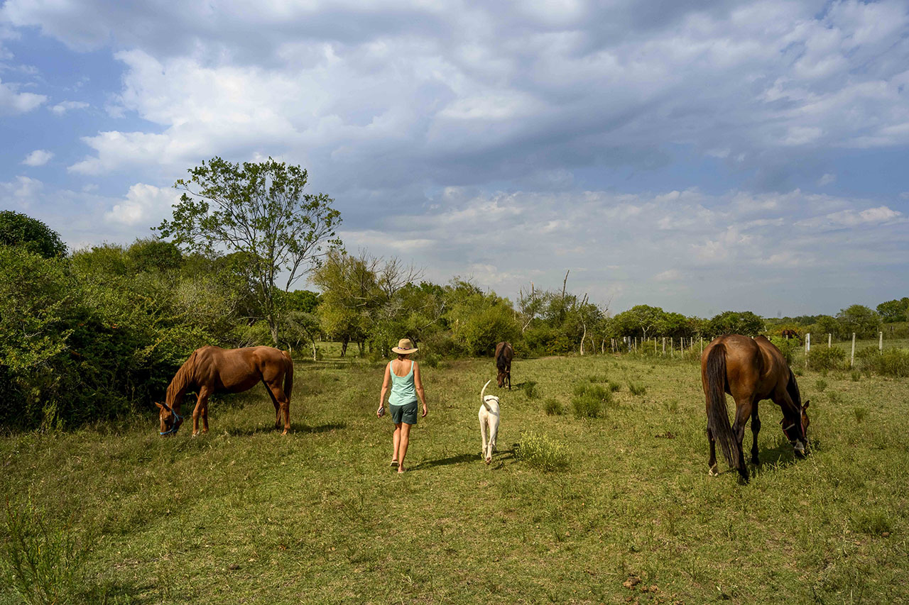 descripcion de imagen