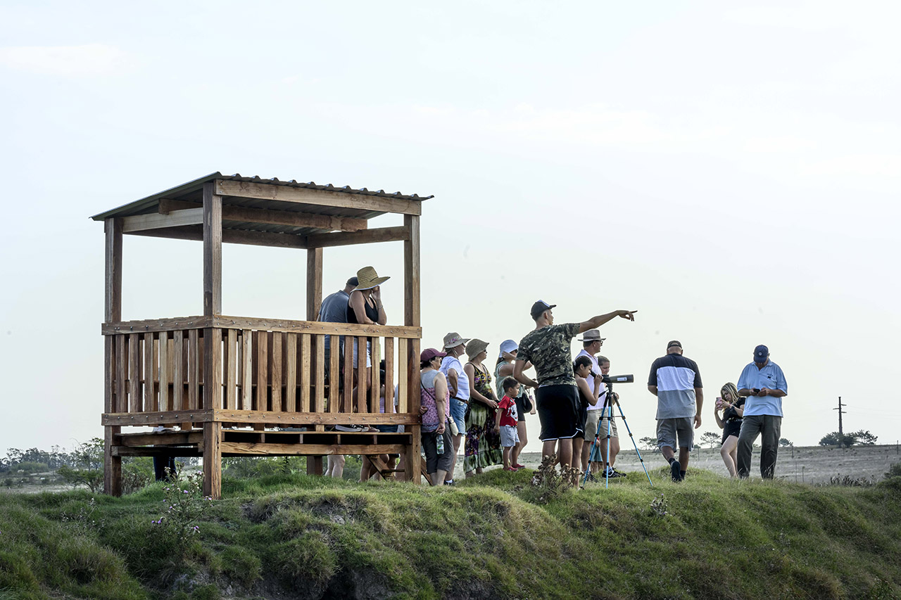 descripcion de imagen