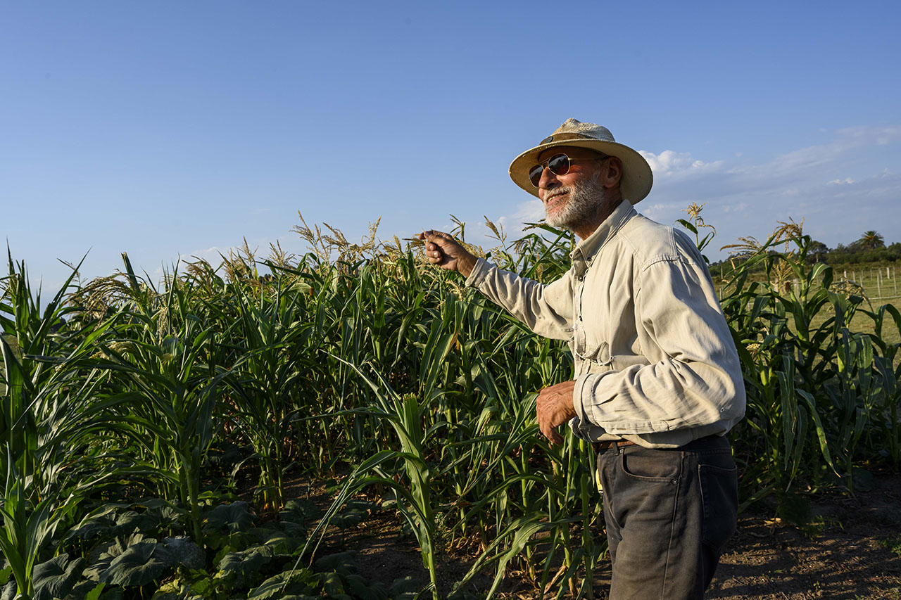 descripcion de imagen