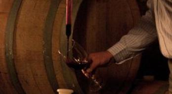 Imagen de Bodega Castillo Viejo