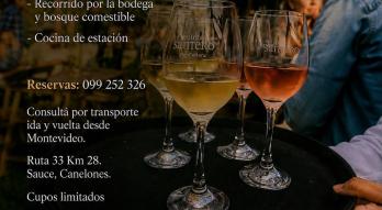 cocina abierta