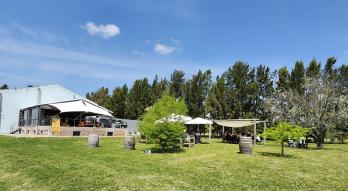 Imagen de Bodega Colorado Chico