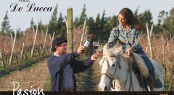 Imagen de Bodega De Lucca