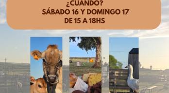 en el campo