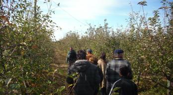 Imagen de Hortifrutícola Ruta 62