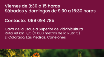 Museo de la Uva y el Vino