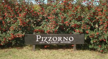 Imagen de Bodega Pizzorno Family Estates
