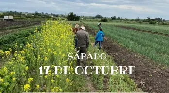 ruta por