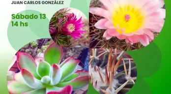 Taller de plantas