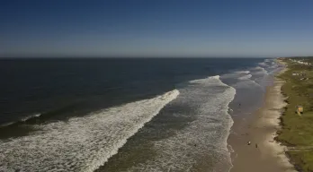 agregar descripción de la imagen