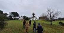 juanicó 